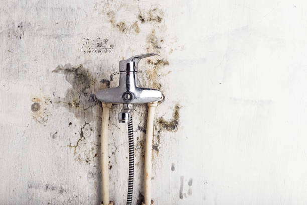 Best Post-Flood Mold Remediation in Sturtevant, WI