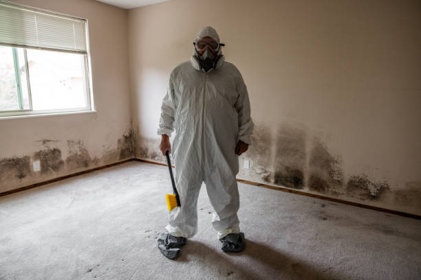 Professional Mold Remediation in Sturtevant, WI